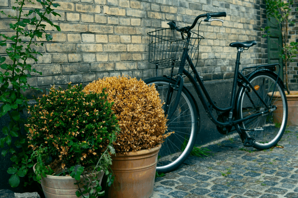 image https://thesky.fi/wp-content/uploads/2025/05/image-2.png